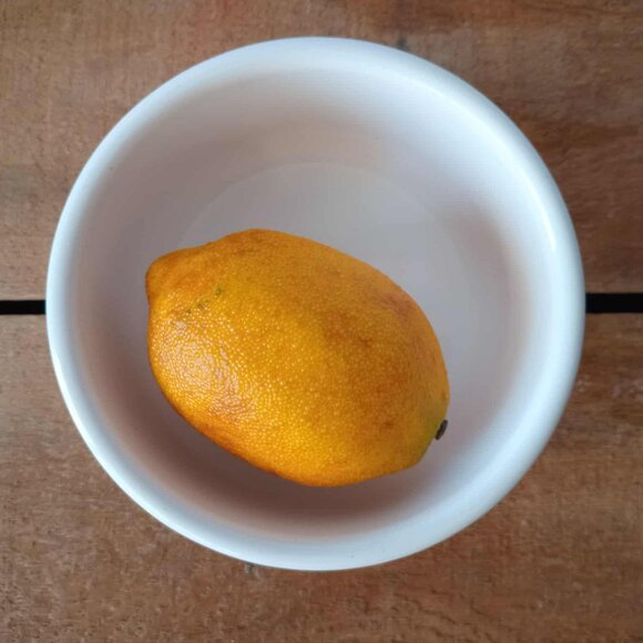 LAST CALL!  Set (4) Vintage Kellogg's Cereal Bowls, "Eat Better, Live Better" - Picture 3 of 10